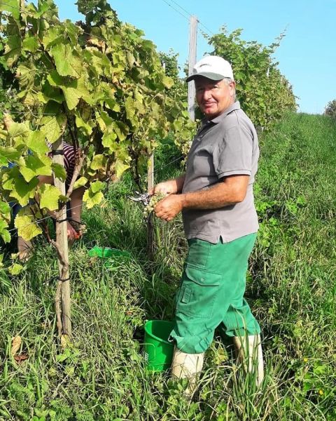 wein4 wein4