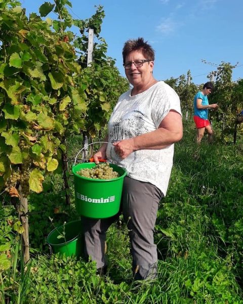 wein5 wein5
